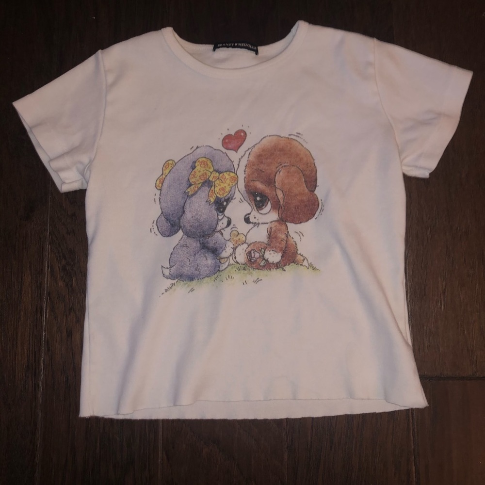 Rare brandy Melville cropped top
